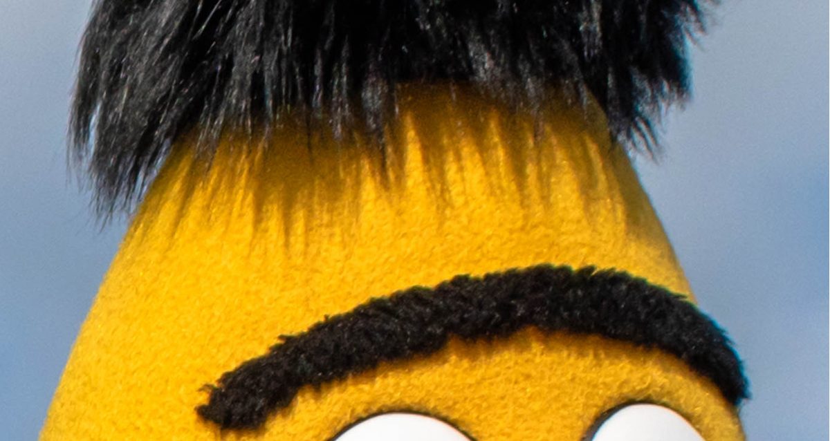 shutterstock_1558667489